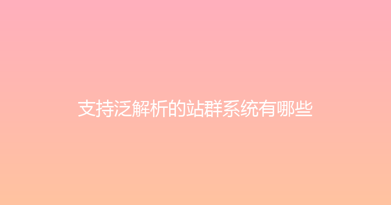 支持泛解析的站群系统有哪些 封面图