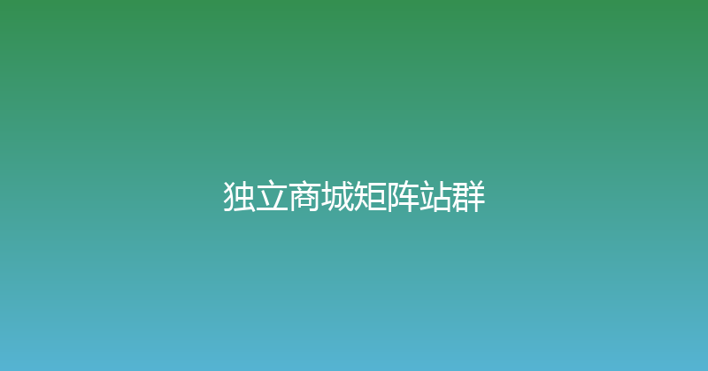 独立商城矩阵站群 封面图