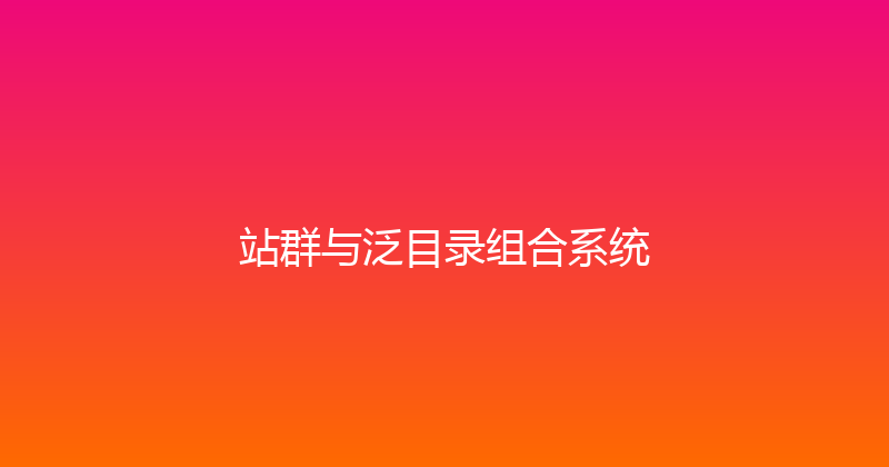 站群与泛目录组合系统 封面图