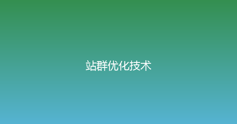 站群优化技术 封面图