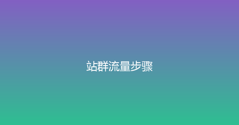 站群流量步骤 封面图