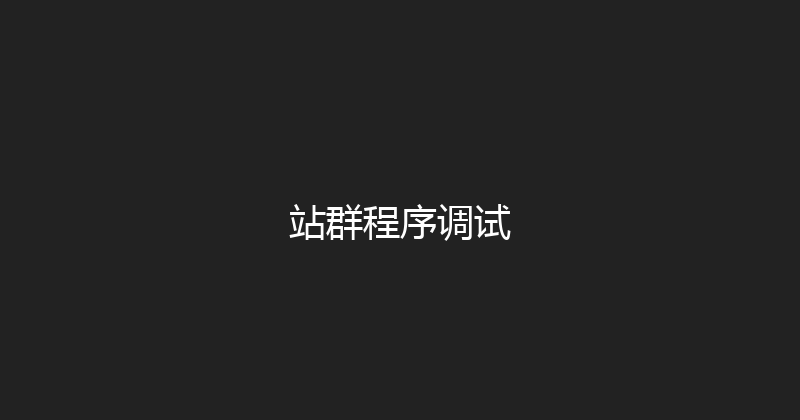 站群程序调试 封面图