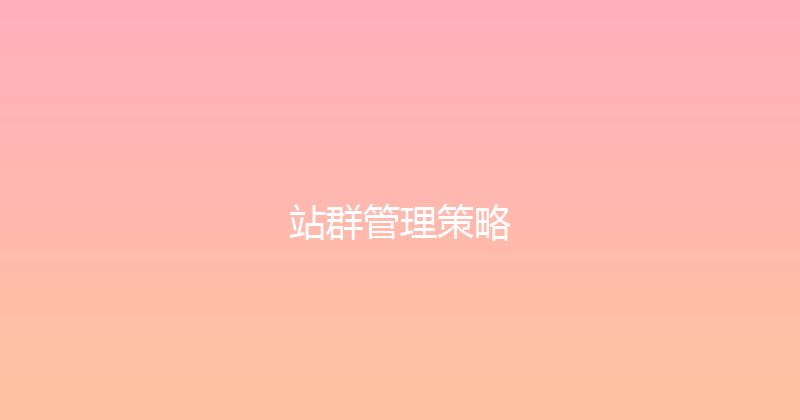 站群管理策略 封面图